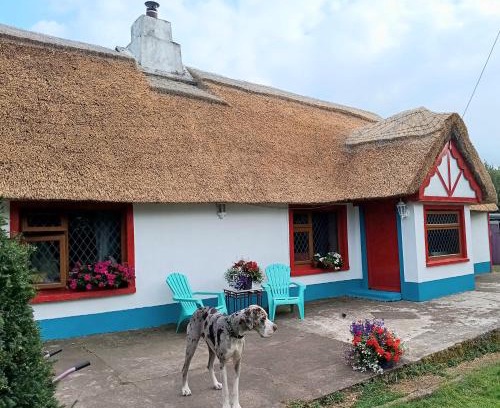 Killeagh Cama Y Desayuno | Aisling Cottage
