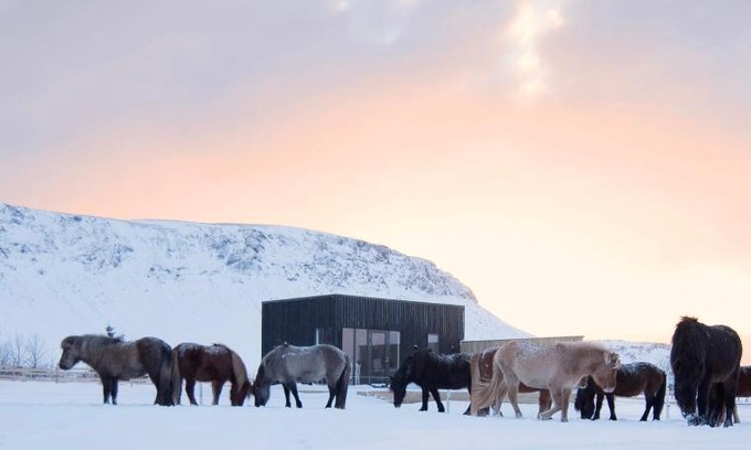 Sveitarfelagid Olfus Casa | Akurgerði Guesthouse 4 - Country Life Style