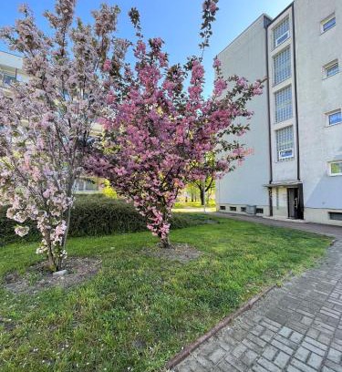 West Pomeranian Voivodeship Apartamento | Al-dom Apartamenty Apartament II Mare 500m do morza
