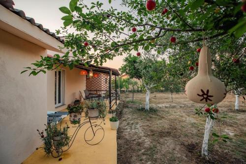 Molos Apartamento | Al Mare Family Suite