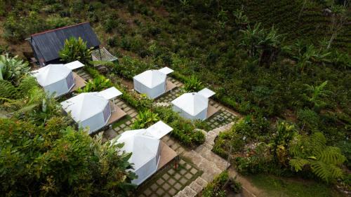 Gobleg Otro | Alam Munduk Glamping