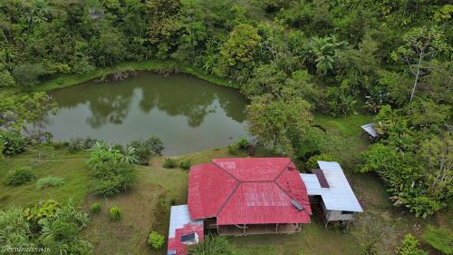 Puerto Jimenez Casa | Albergue La Laguna