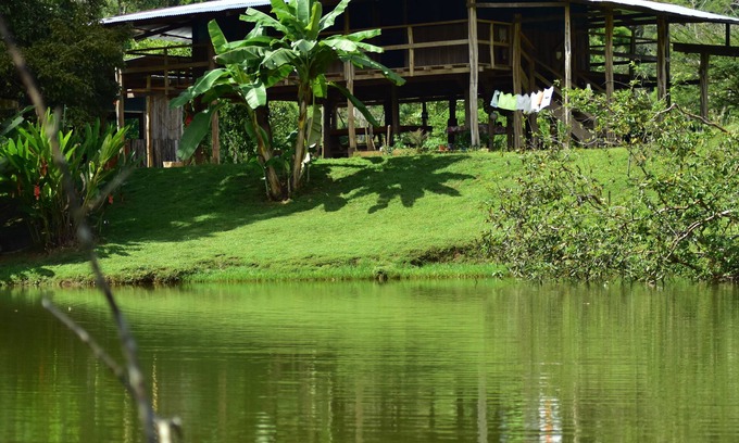 Puerto Jimenez Casa | Albergue La Laguna Corcovado Park