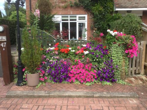 New Forest District Cama Y Desayuno | Albertine ,A warm welcome awaits you ,Offering room only or bed and breakfast ,Ideal location for Solent Way ,High Street ,Isle of Wight ,New Forest
