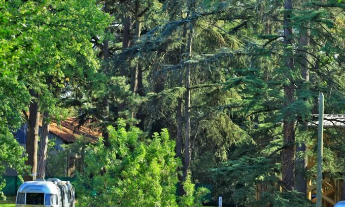 Albi Chalet De Esquí | En el espíritu original de los grandes parques nacionales de América del Norte