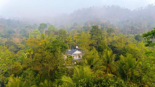 Pirmed Casa | Alencherry plantation homestay