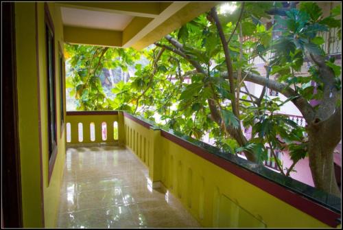 Bogmolo Casa | All Seasons Guest House