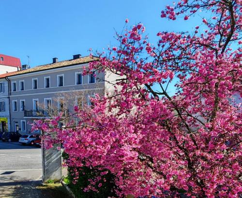 Ronchi dei Legionari Casa | Alloggi Tosca Airport Lodges