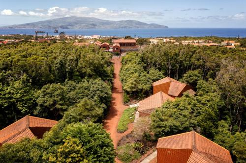 Madalena Apartamento | Alma do Pico - Nature Residence