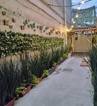 Venustiano Carranza Casa | Alo México