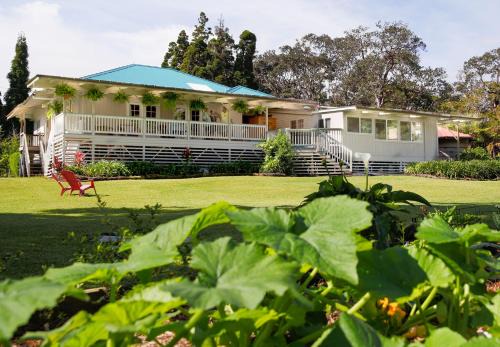 Volcano Casa | Aloha Junction Bed and Breakfast -Minutes away from Hawaii Volcanoes National Park