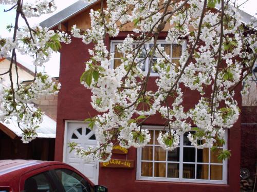 Alumine Chalet De Esquí | Alojamiento Quilque Lil