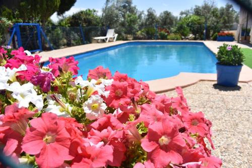 Pozo Alcon Casa | Alojamientos Rurales la Loma