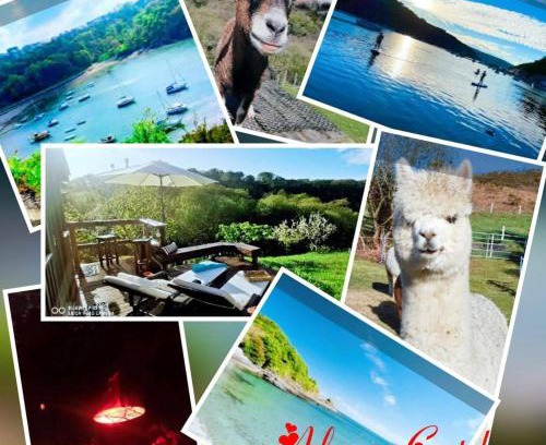 Goodwick Cabina | Alpaca Cwtch - Pembrokeshire, West Wales