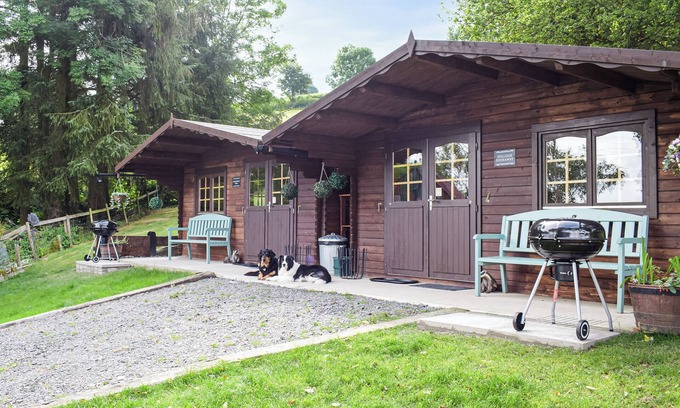 Newtown Cabaña | Alpaca Hideaway - UK35188