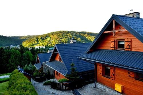 Krynica-Zdroj Chalet De Esquí | Alpejskie Domy Ski House
