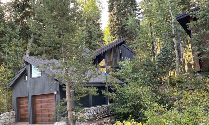 Alpine Meadows Cabina | Alpine Bliss- Stylish, Dog Friendly, Plus Seasonal Ski Shuttle
