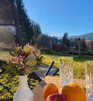 Feldberg Apartamento | Alte Schmiede