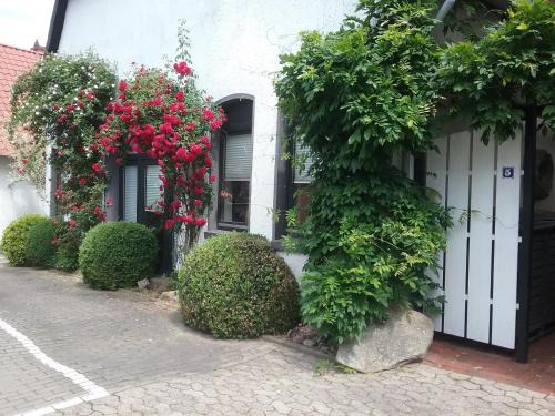 Petershagen Apartamento | Altstadt-Apartment Petershagen