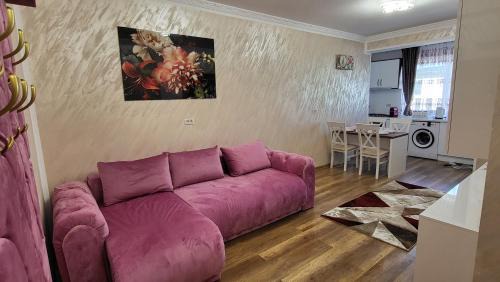 Scheia Apartamento | Aly Apartaments Suceava