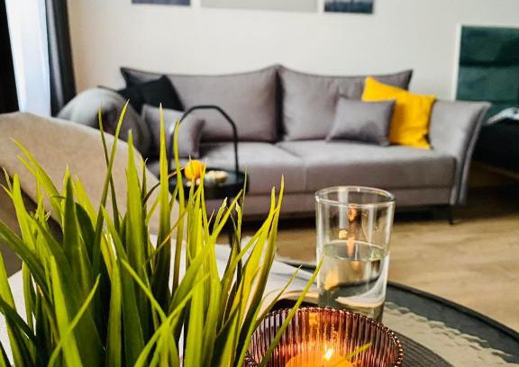 Alytus Apartamento | Alyvų tako studija