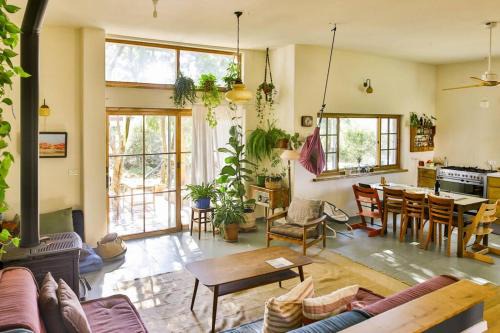 Tsiv'on Casa | Amazing Hemp house in the middle of an oak forest