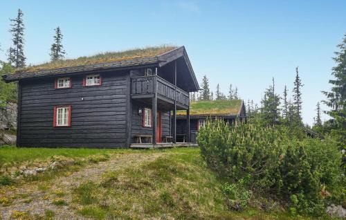 Kroderen Casa | Amazing Home In Eggedal With Sauna