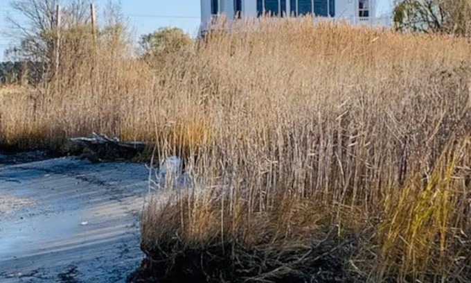 Madison Casa | Amazing views waterfront 3-bedroom home in Madison