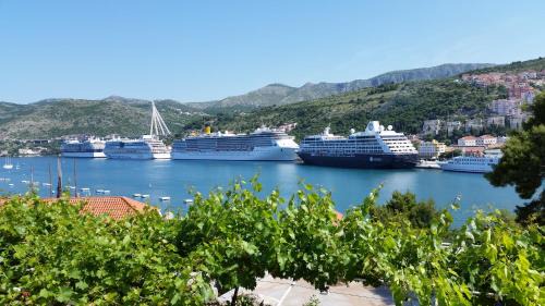 Dubrovnik Apartamento | Amfora Apartment