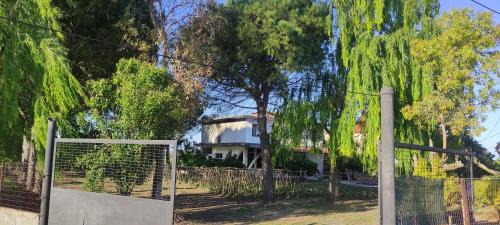 Mbrostar-Urë Casa | Among the trees and by the sea