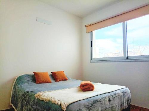 La Plata Apartamento | Amplio y cómodo Loft Excente ubicación