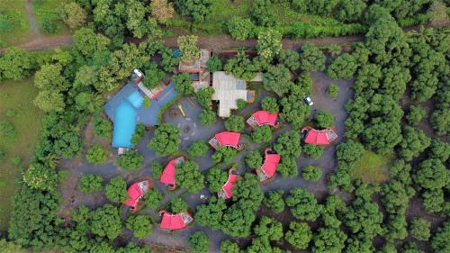 Talala Hotel | Amraness Luxury Resort Sasan Gir