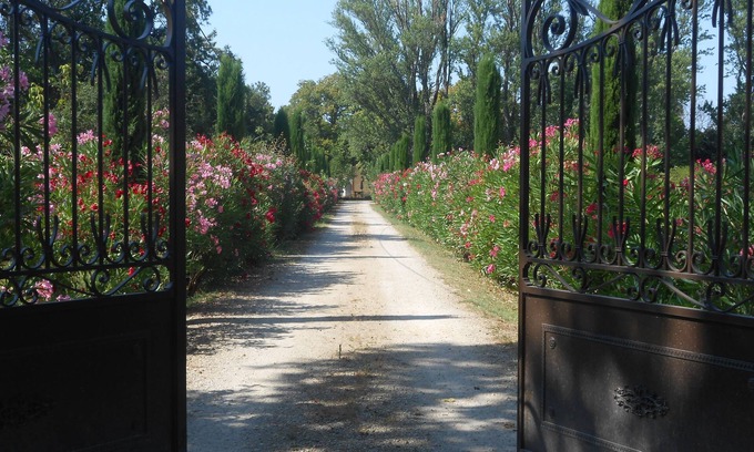 Molleges Otro | En la tierra de la Provenza, Mas Valérian