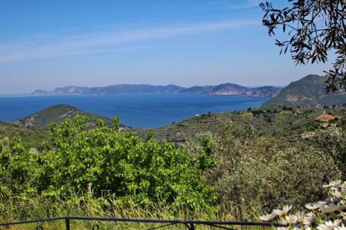 Skopelos Town Casa | Anania Cottage
