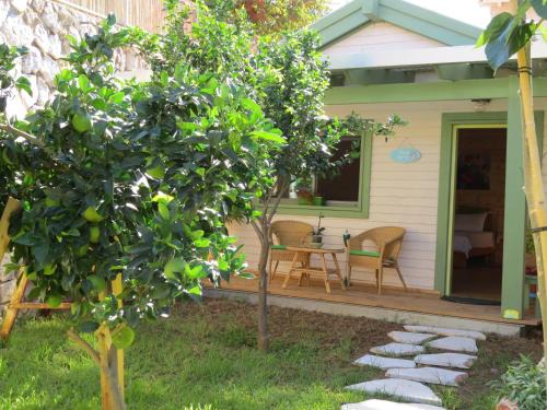 Kefar Hananya Cabina | Anat's Cabin הצימר של ענת