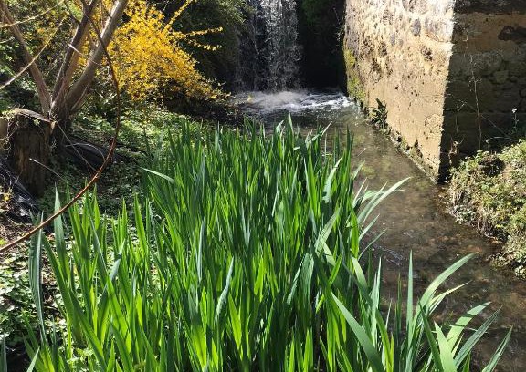 Asse-le-Riboul Apartamento | Ancien moulin du 18 ieme
