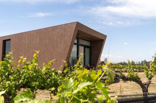 Tupungato Cabina | Andeluna Winery Lodge
