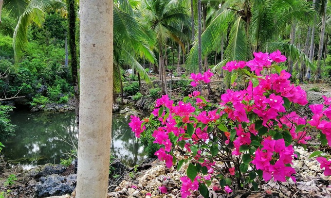 Anda Hotel | AndNindot Garden Resort