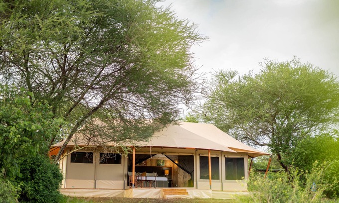 Tarangire National Park Otro | Angata Tarangire