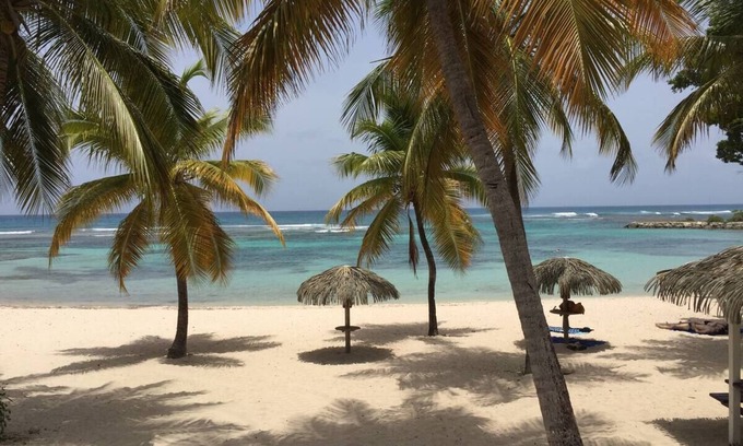 Anse des Rochers Apartamento | Anse des rochers, very pretty "Bamboo" studio 30 meters from the beach.