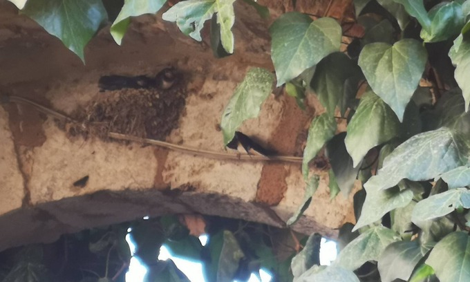 Torri Cama Y Desayuno | Antico Borgo di Torri