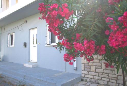 Oichalia Apartamento | Antonia's Rustic Retreat