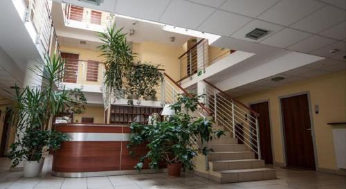 Kazimierz Dolny Apartamento | Apartament 42 Loft - Pod Aniołem