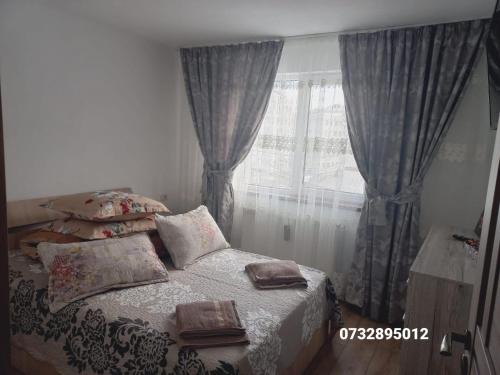 Campulung Moldovenesc Apartamento | Apartament Bianca