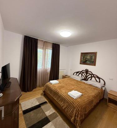 Fagaras Apartamento | Apartament Bianca