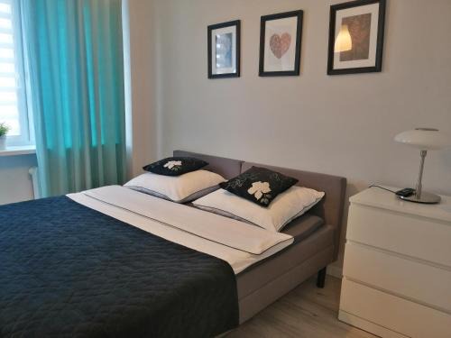 Wloclawek Apartamento | Apartament Classic Południe