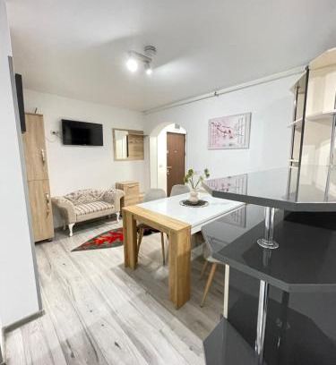 Tirgu Ocna Apartamento | Apartament Daniel
