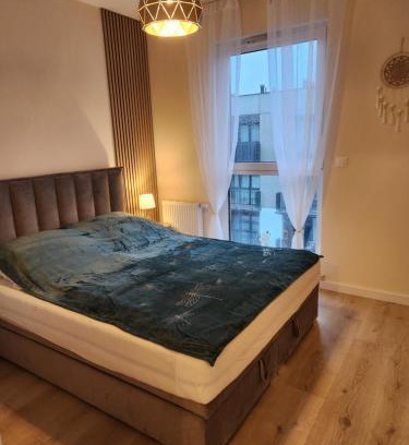 Bydgoszcz Apartamento | Apartament Golden Dragonfly