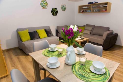 Zywiec Apartamento | Apartament Grapa