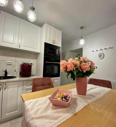 Baile Herculane Apartamento | Apartament Hercules